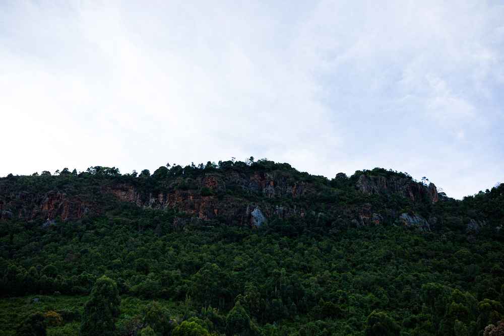 Small Image