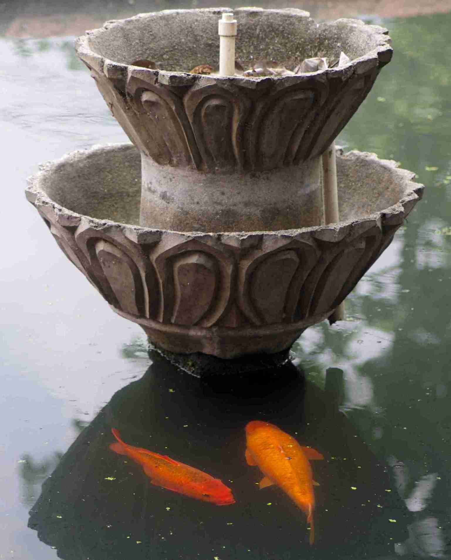 Small Image