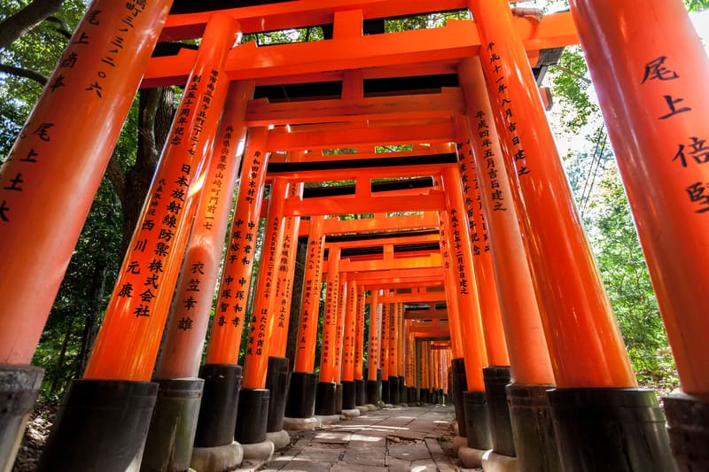 Torii-Tore am Fushimi Inari Schrein
