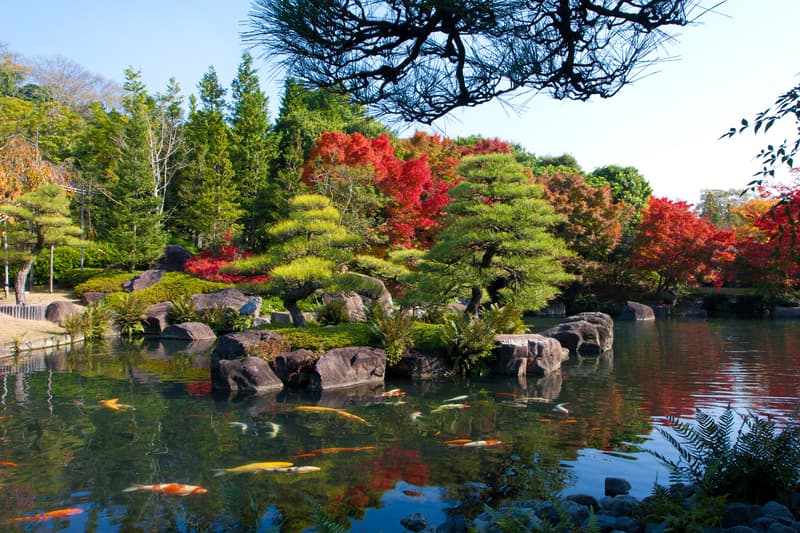 Koi im Koko-en Garten
