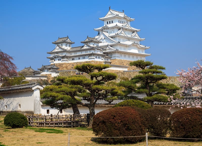 Tour Image