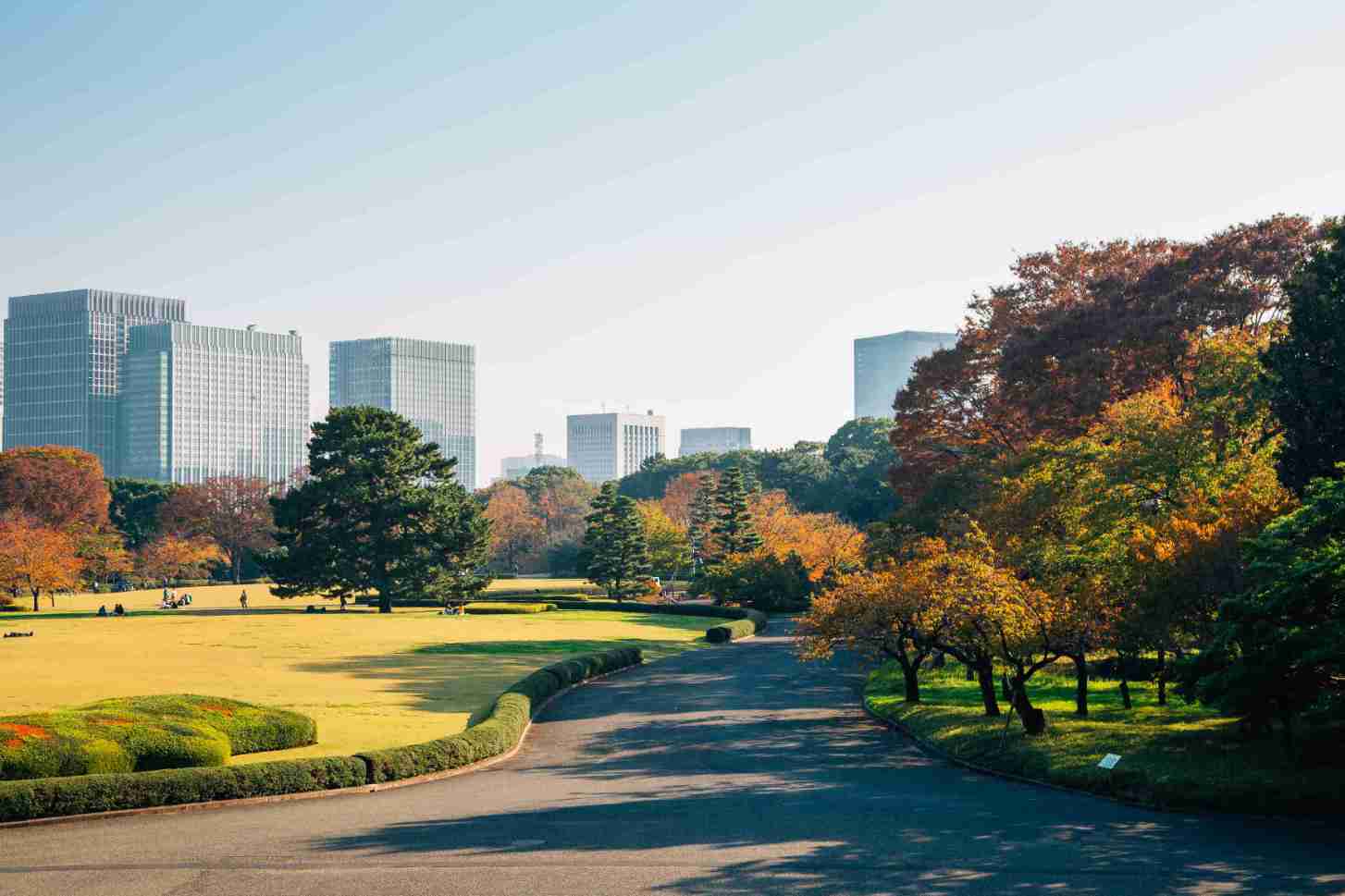 Tour Image