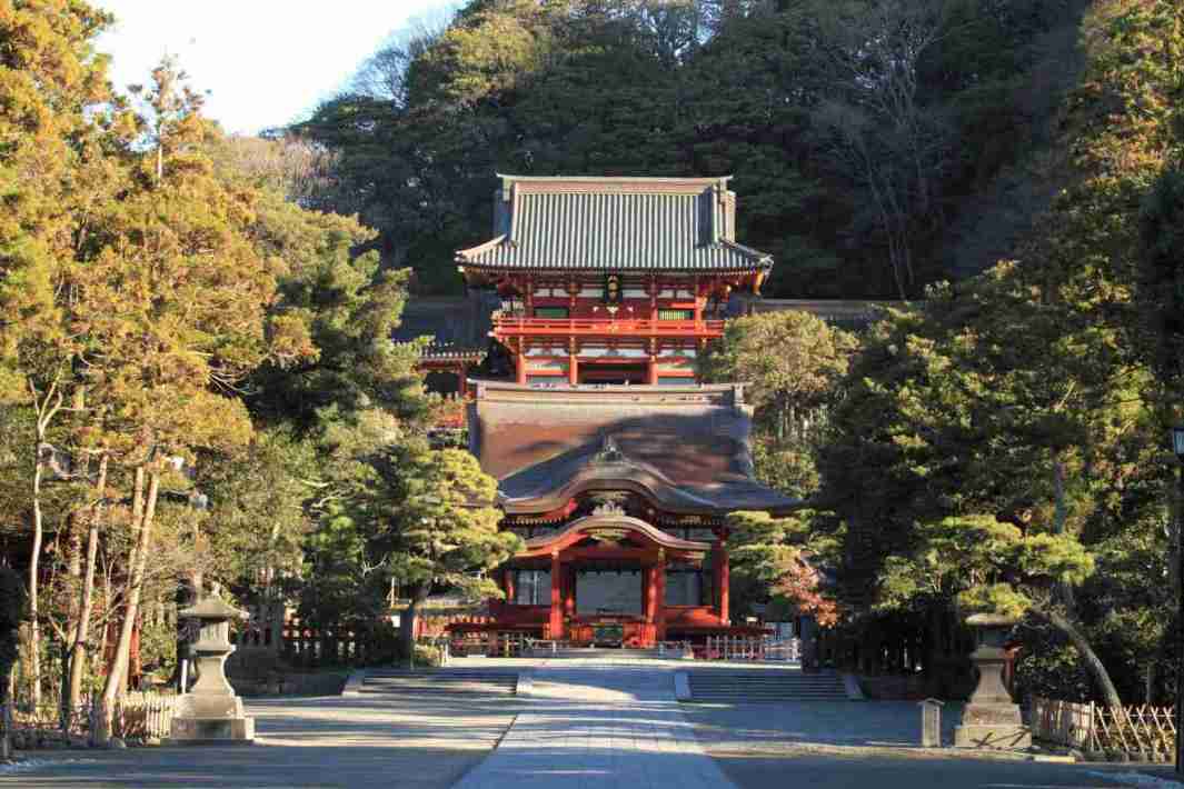 Small Image 1