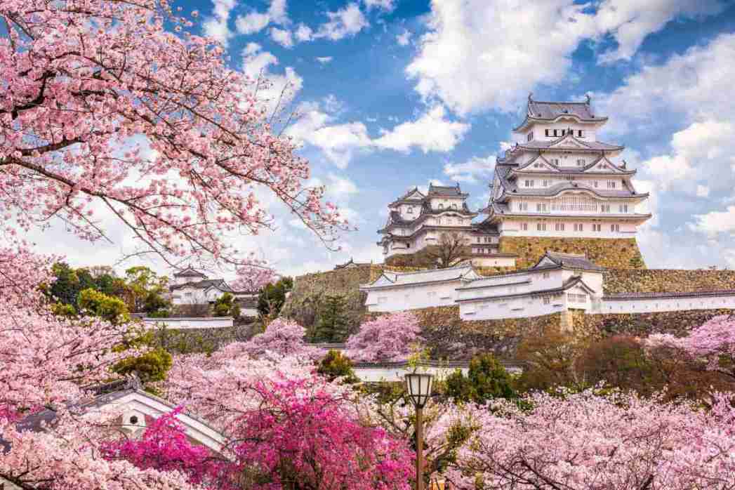 Japan und Korea zur Kirschblüte - Burg Himeji