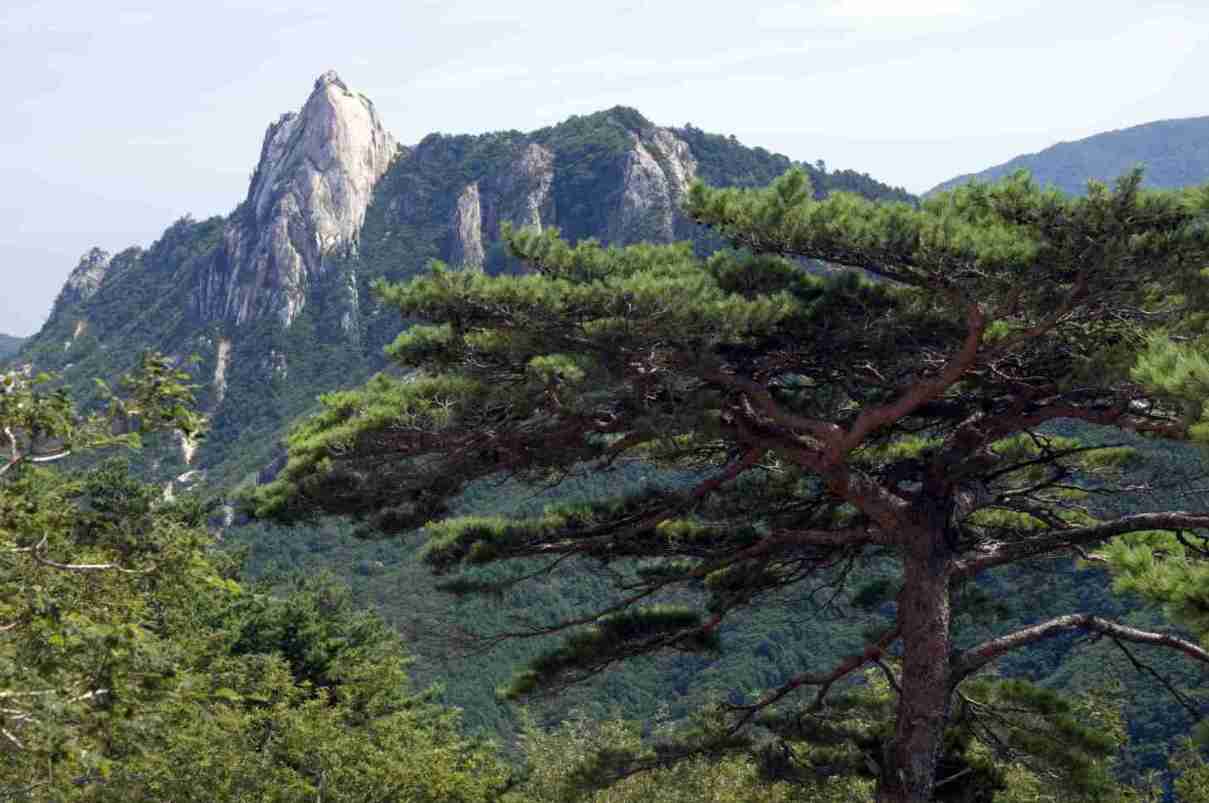 Tour Image