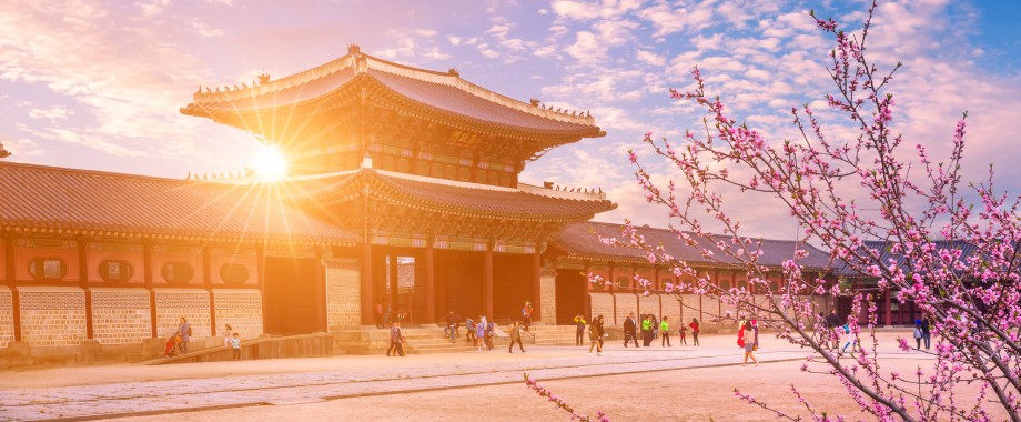 Ostasien zur Kirschblüte - Gyeongbokgung Palast